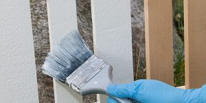 PENSSELIPESU 1 L ???????? ?? ?????????? ?? ???????????