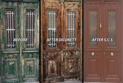 DILUNETT - СМИВКА ЗА БОИ 1 L