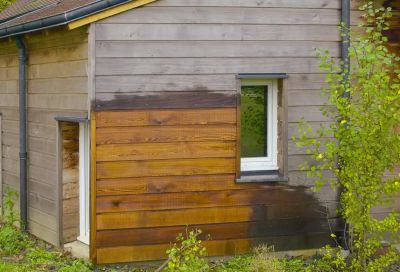 NET-TROL - ПОЧИСТВАНЕ И ВЪЗСТАНОВЯВАНЕ НА ДЪРВЕНИ ИЗДЕЛИЯ  2,5 L