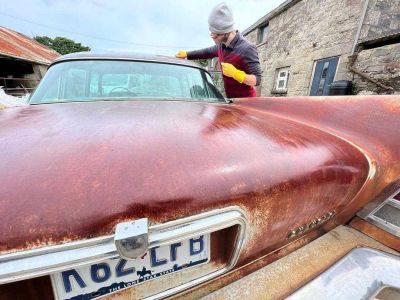 OWATROL OIL - ДОБАВКА ЗА БОИ И ИНХИБИТОР НА РЪЖДА 0,5 L