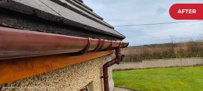 POLYTROL - ВЪЗСТАНОВЯВАНЕ НА ЦВЕТА 0,5 L